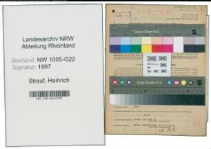 Entnazifizierung Heinrich Strauf , geb. 02.11.1907 (Mitinhaber)