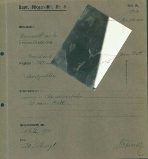 Foto des Bannwaldes nordwestlich des Schmelzwasens (Luftbild)