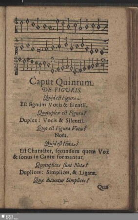 Caput Quintum, De Figuris