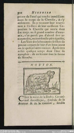 Mouton