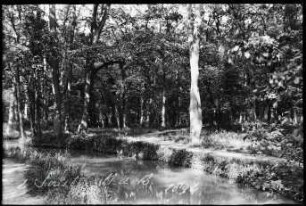Paris, Bois de Boulogne