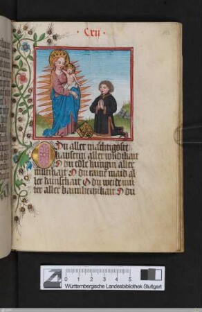 Der Graf von Waldburg kniet vor der Strahlenkranzmadonna
