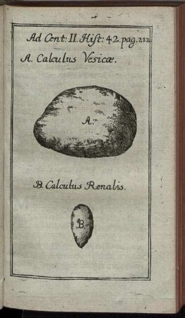 Ad Cent: II. Hist: 42. pag. 212.
