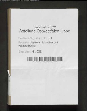 Salbuch des Amtes Blomberg von 1826, Bd. 1