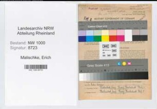 Entnazifizierung Erich Malischke, geb. 24.09.1889 (Postsekretaer)