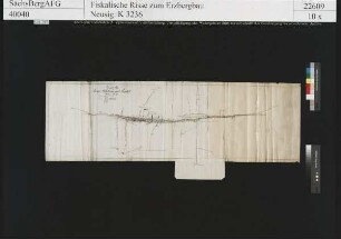 Junge Hohe Birke und Prophet Jonas Fundgrube bei Langenrinne (Zug)