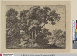 [Ein Waldweg; A rustic lane]