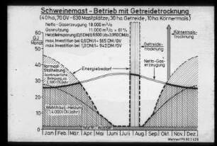 Schweinemast- Betrieb mit Getreidetrocknung