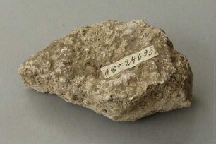 Wandputz (Fragment)
