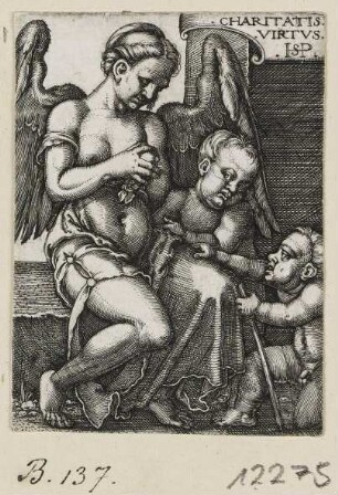 Charitatis virtus