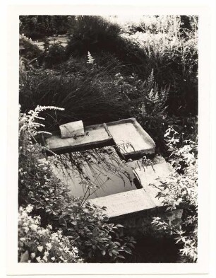 Garten von Dombois, Ermatingen am Bodensee: Wasserbecken