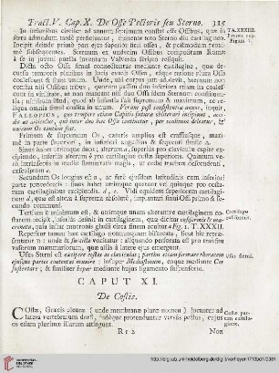 Caput XI: De Costis