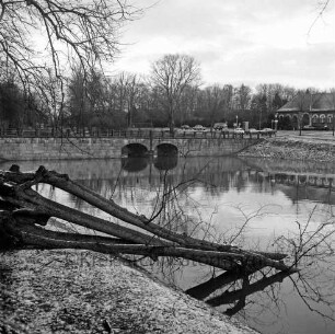 Schlosspark: Schlossgraben: im Vordergrund Ufer von Schlossinsel: Baum umgestürzt: hinten Schlossbrücke: hinten rechts Lübecker Straße, Marstall, parkende Autos