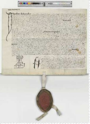Propst Jacob Schomaker transsumiert Präsentationsurkunden und investiert in eine Vikarie am Viti Altar auf dem Ratschor zu St. Johannis. Notar Nicolaus Steman [lat].