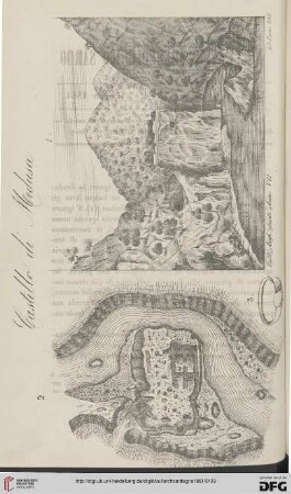 Nr. 7 (Luglio 1861)