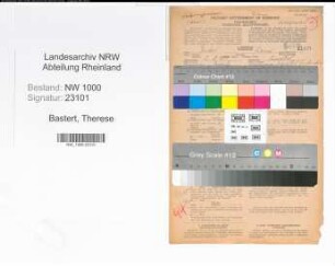 Entnazifizierung Therese Bastert, geb. 05.08.1899 (Kontoristin)