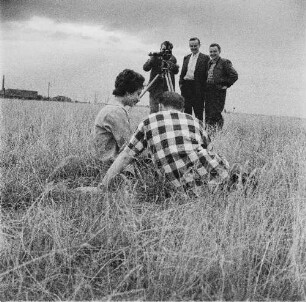 Kulturelles: Filmkollektiv : Bitterfeld. VEB Elektrochemisches Kombinat Bitterfeld.