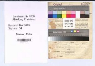 Entnazifizierung Peter Blaeser , geb. 20.03.1895 (Bankangestellter)