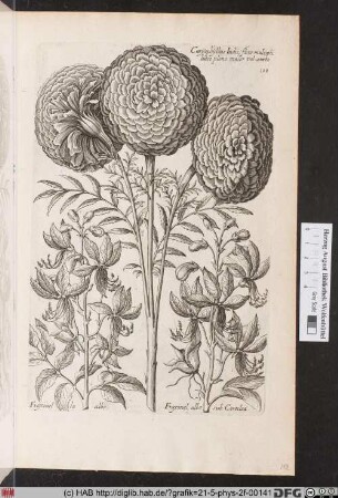[Verschiedene Blumen]