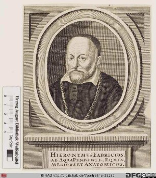 Bildnis Girolamo Fabrizi (lat. Hieronymus Fabricius ab Aquapendente)