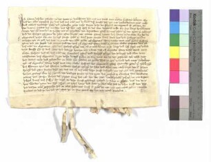 Haintz Vischer aus Dietrichstetten (Dieterichsteten) verkauft an die Heiligenpfleger zu Stödtlen (Stedlingen) für 64 Gulden die Mußwiesen auf dem Roßhof an der Werntz.