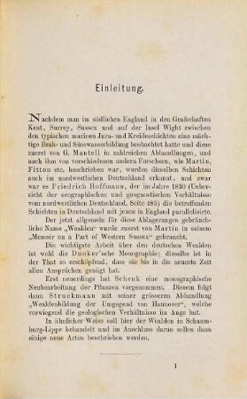 Die Schaumburg-Lippe'sche Wealden-Mulde