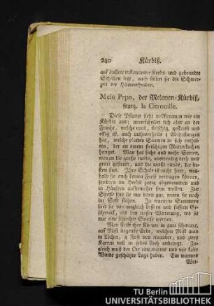 Melo Pepo, der Melonen-Kürbiß, franz. la Citrouille.