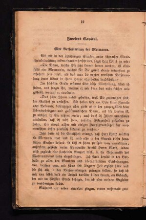 Zweites Kapitel. Eine Versammlung der Mormonen.