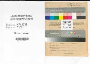 Entnazifizierung Anna Cesarz , geb. 18.06.1901 (Arzthelferin)