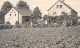 Bauernhof in Pannewitz : Bauwesen - Wohnung, Exterieur. Ort: Banecy / Pannewitz. Gesamtaufnahme eines Hofes.