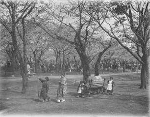 Hanami : Männer und Frauen unter blühenden Kirschbäumen
