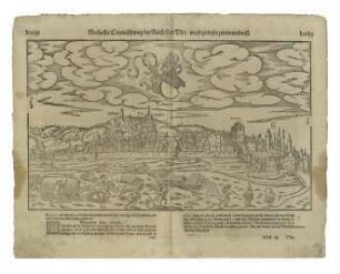 Ulm von Süden. Um 1550