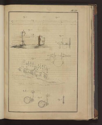 Pl. 50. Fig. 1. bis Fig. 7.