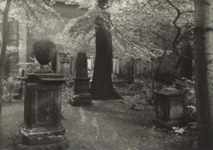 Blick in den "Grünen Friedhof"