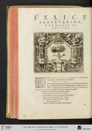 Felice Sanseverina, Dvchessa di Gravina