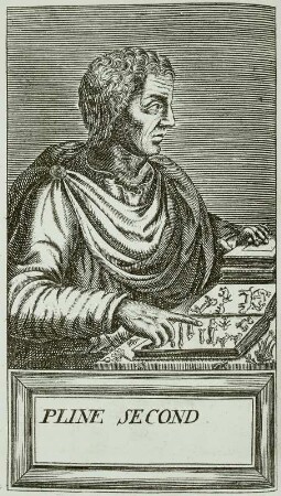 Plinius Secundus