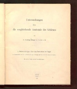 5: Untersuchungen über das Vorderhirn der Vögel