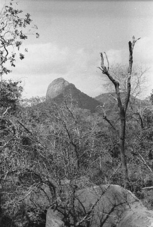 Inselberge zwischen Tunduru und Masasi : Landschaft mit Büschen, Bäumen und Inselbergen