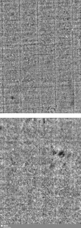 Löwe (steigend) mit Schwert / ES = Bd.1, S.7/8+63/64