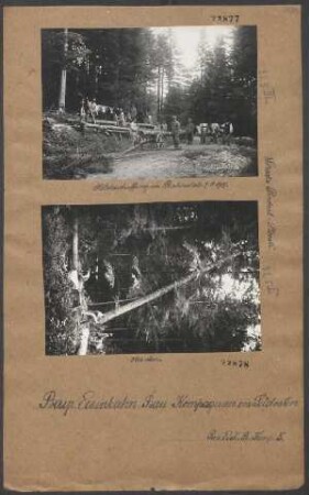 Wiederherstellung und laufender Unterhalt der Bahnstrecke Predeal (Kronstadt) - Ploesti auf rumänischer Seite: Holzfällen im Walde bei Sinaia