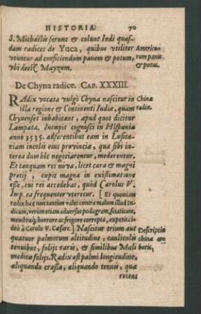 De Chyna radice. Cap. XXXIII.