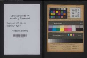 Entnazifizierung Ludwig Raupold , geb. 18.06.1907 ()