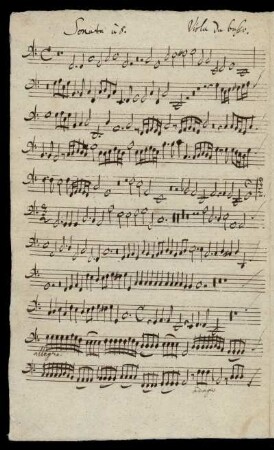 Viola da basso