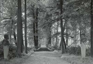 Seerhausen, Schlosspark, Allee, Blick vom Aufgang des Schlosses mit Hermen nach Westen