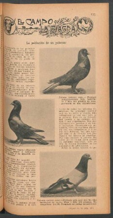 La población de un palomar : El campo y la chacra