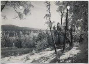 Winterlandschaft, Taunus, Feldberg