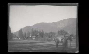 [18]: Chile : Canquenes ; Topographische Ansichten
