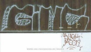 GiNE