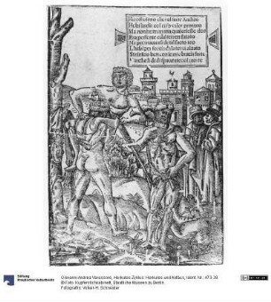 Herkules-Zyklus: Herkules und Antäus