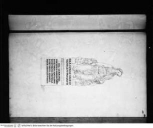 ANTIQUARUM STATUARUM FORMAE ET EFFIGIES, Dea Syria